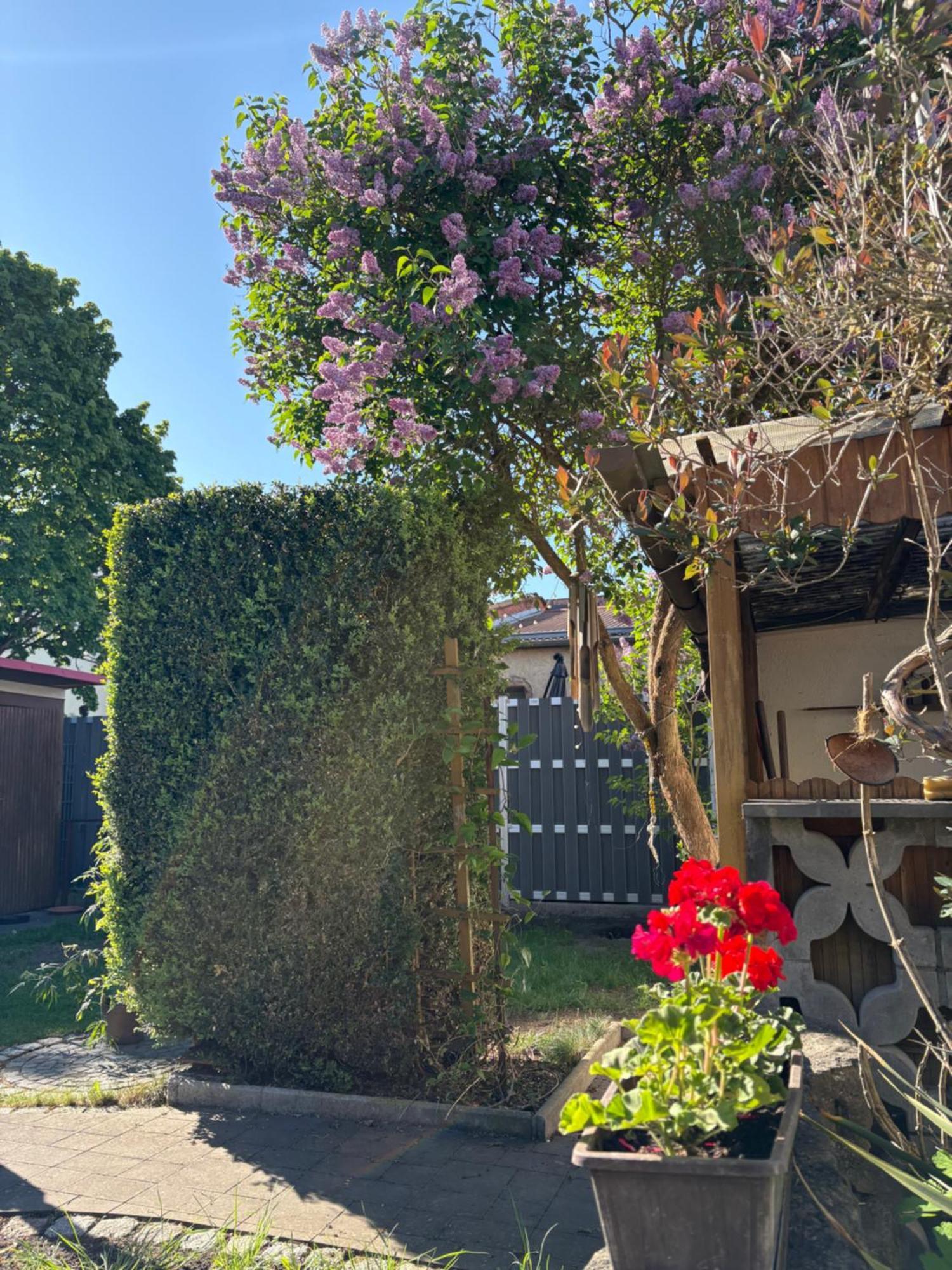 Haus Hannah Meiningen Luaran gambar