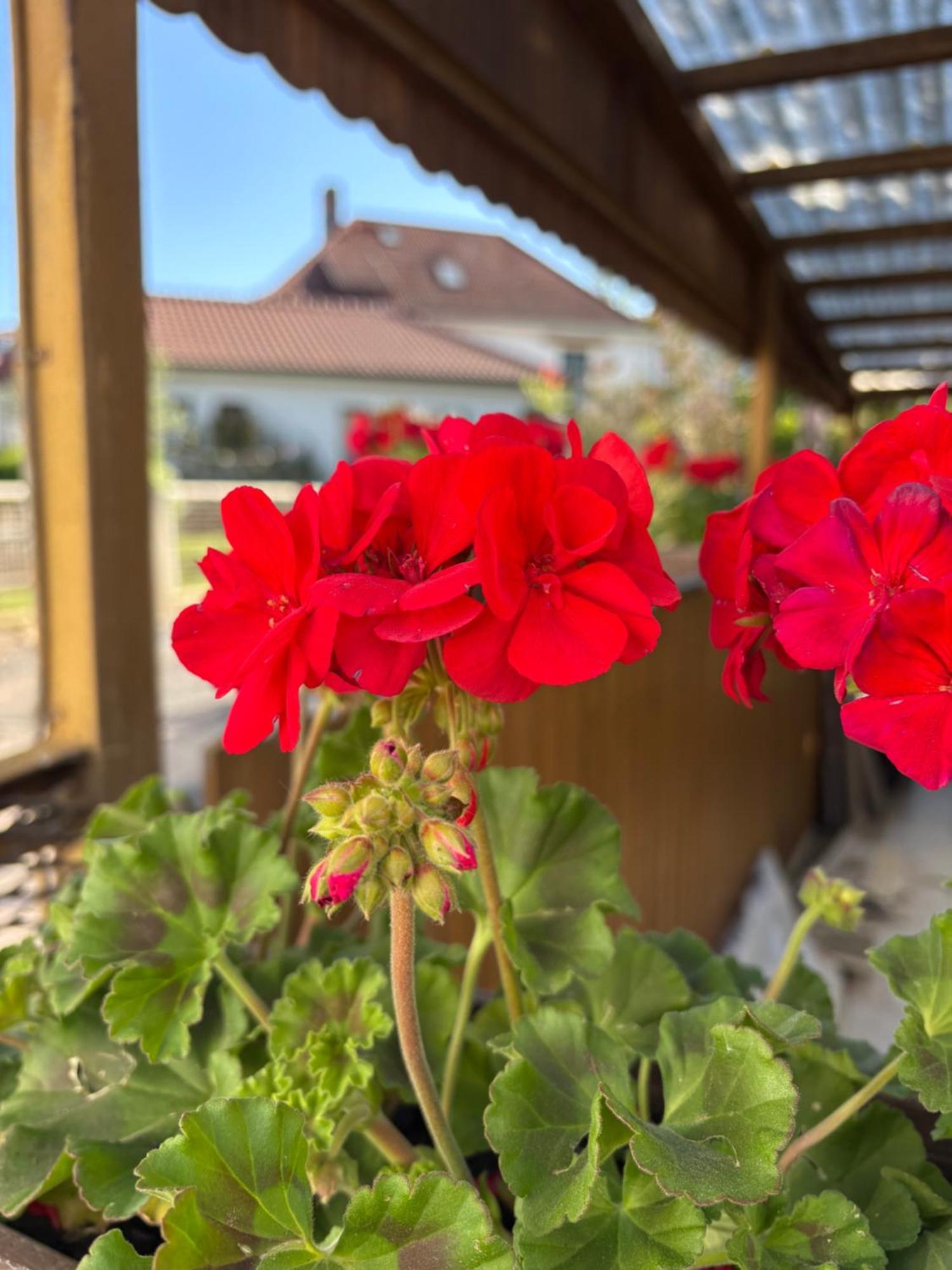 Haus Hannah Meiningen Luaran gambar